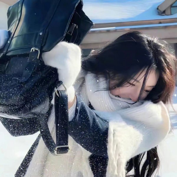 双面追缉