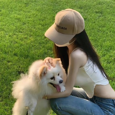 哈兰·科本的庇护所